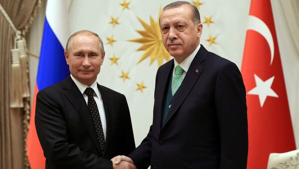 Rusya Devlet Başkanı Vladimir Putin ile Türkiye Cumhurbaşkanı Recep Tayyip Erdoğan - Sputnik Moldova-România