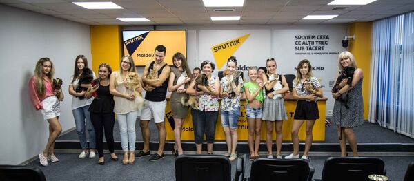 собаки câini - Sputnik Молдова