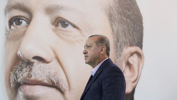 Президент Турции Реджеп Тайип Эрдоган, фото из архива - Sputnik Молдова