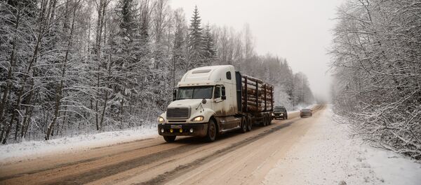 Повседневная жизнь - Sputnik Молдова
