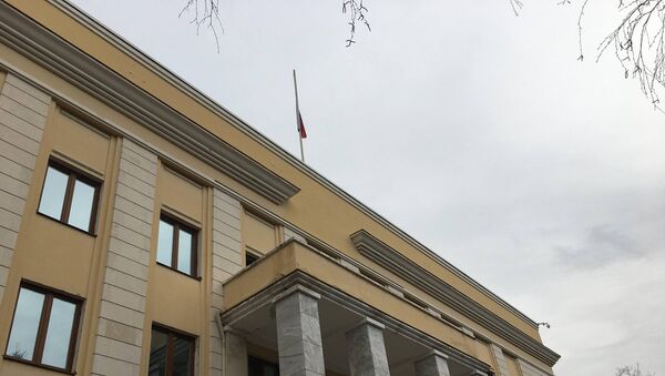 Ambasada Federatiei Ruse de la București - Sputnik Moldova-România