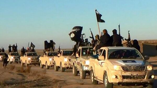 In this undated file photo released by a militant website, which has been verified and is consistent with other AP reporting, militants of the Islamic State group hold up their weapons and wave its flags on their vehicles in a convoy on a road leading to Iraq, while riding in Raqqa city in Syria - Sputnik Moldova