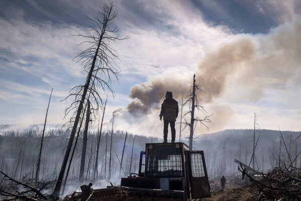 Сотрудник Авиалесоохраны Республики Бурятия во время ликвидации природного лесного пожара в Кабанском районе Бурятии - Sputnik Молдова