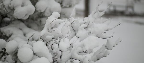 Зима - Sputnik Moldova