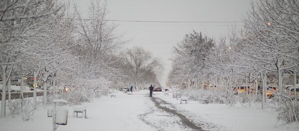 Зима  - Sputnik Moldova-România
