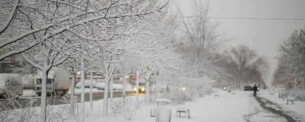 Зима  - Sputnik Moldova