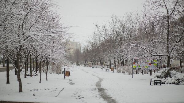 Зима - Sputnik Молдова