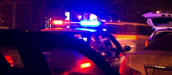 Мигалка на полицейском автомобиле - Sputnik Moldova