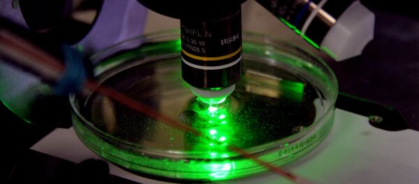 Лаборатория биомедицинских клеточных технологий во Владивостоке - Sputnik Молдова