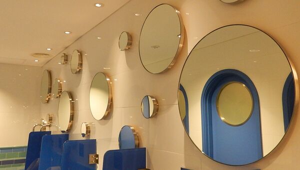 Туалетная комната в Сингапуре - Sputnik Молдова