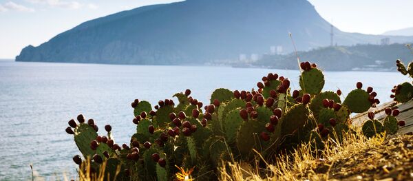 Krim - Sputnik Moldova