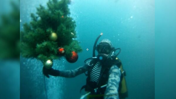 Дайверы погрузили новогоднюю елку под воду Голубого озера - Sputnik Молдова