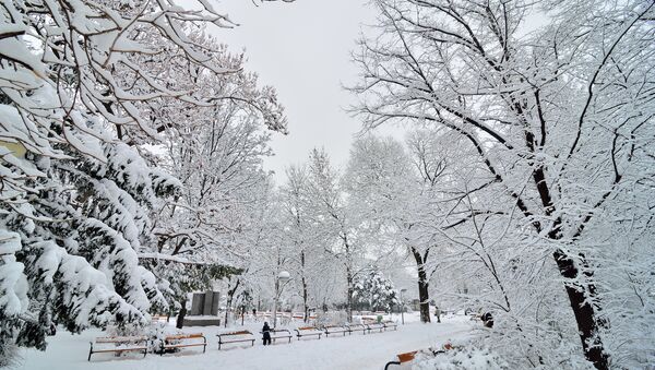 Зимний парк, архивное фото - Sputnik Moldova-România