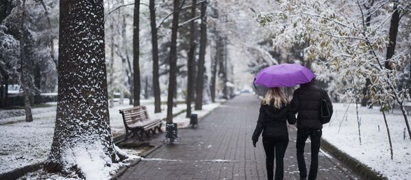 Первый снег Первый снег - Sputnik Молдова