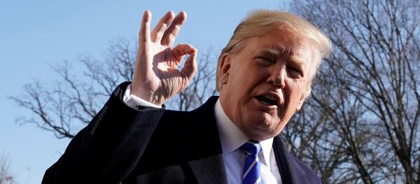 U.S. President Donald Trump gestures as he talks to the media on South Lawn of the White House in Washington, U.S., before his departure to Camp David, December 16, 2017 - Sputnik Moldova-România