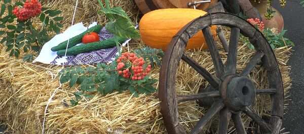 Toamna de Aur Orhei - Sputnik Moldova