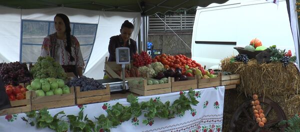 Toamna de aur - Sputnik Moldova