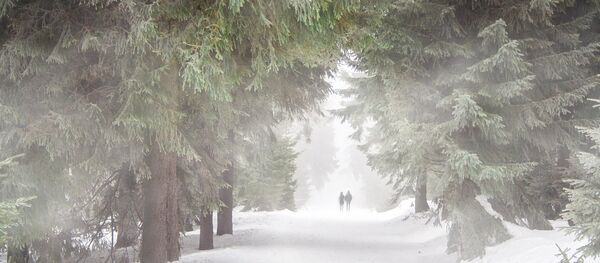 Снежная зима - Sputnik Молдова