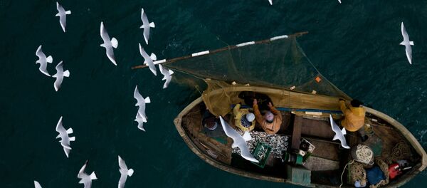 Рыбаки во время прибрежного лова черноморской рыбы в Севастополе - Sputnik Молдова