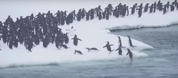 «Enfin! On peut rentrer à la maison!» - Sputnik Moldova-România