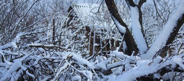 Декабрь 2017 года в объективе молдавского фотографа - Sputnik Moldova-România