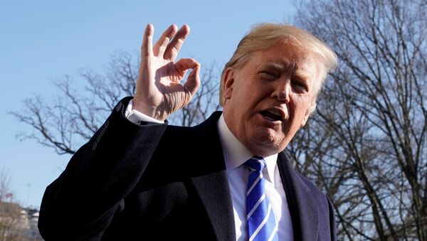 U.S. President Donald Trump gestures as he talks to the media on South Lawn of the White House in Washington, U.S., before his departure to Camp David, December 16, 2017 - Sputnik Moldova-România