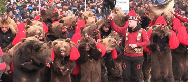 парад Медведей парад Медведей - Sputnik Молдова