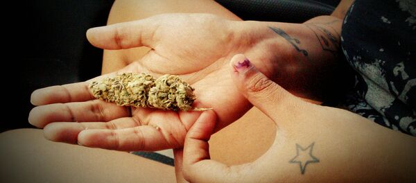 მარიხუანა - Sputnik Молдова