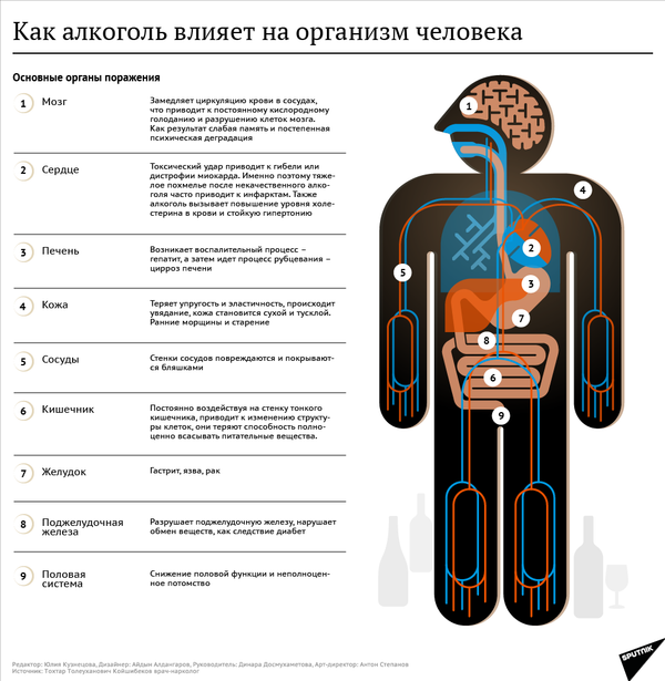 Как алкоголь влияет на организм - Sputnik Молдова