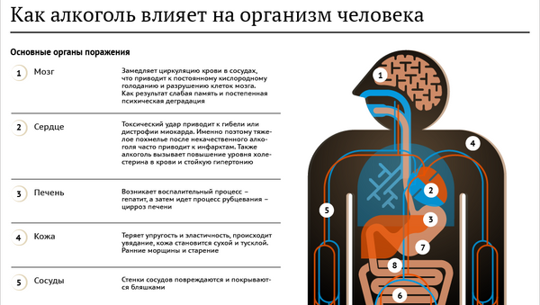 Как алкоголь влияет на организм - Sputnik Молдова