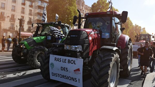 Фермеры во время акции протеста в Париже - Sputnik Moldova