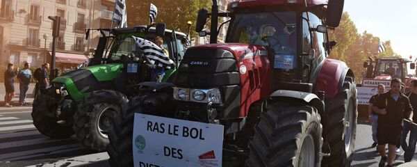 Фермеры во время акции протеста в Париже - Sputnik Moldova