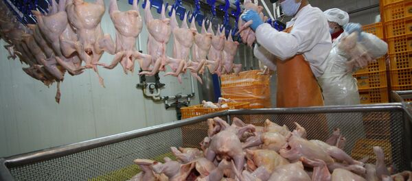 Работа птицефабрики Михайловский бройлер в городе Артем Приморского края - Sputnik Moldova