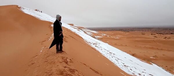 Человек смотрит на выпавший снег в пустыне Сахара Человек смотрит на выпавший снег в пустыне Сахара - Sputnik Молдова