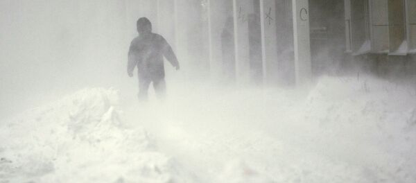 Сильный снегопад прошел в Санкт-Петербурге - Sputnik Moldova