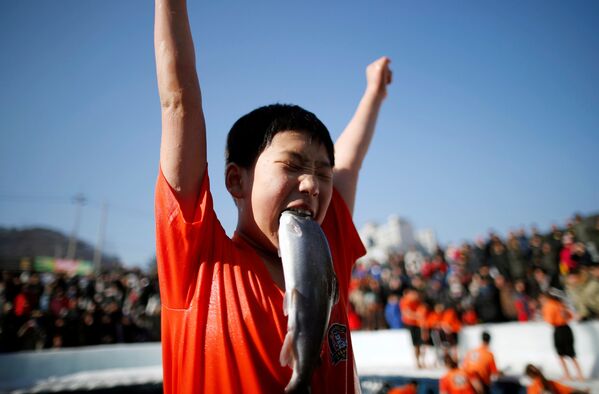Мальчик, поймавший собственными руками форель, на празднике в поддержку грядущего Ледяного фестиваля в южнокорейском городе Хвачхон - Sputnik Молдова