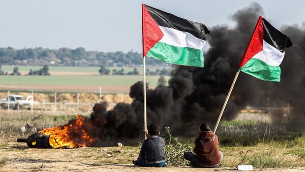 Палестинские демонстранты размахивают национальным флагом у границы между Израилем и Сектором Газа - Sputnik Moldova-România