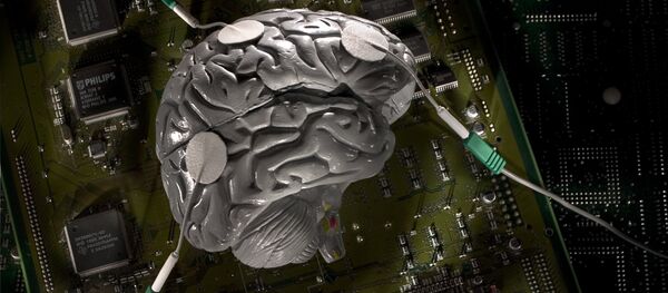 Gehirn - Sputnik Moldova