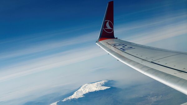 Türk Hava Yolları (THY) / Boeing 737-800 - Sputnik Moldova
