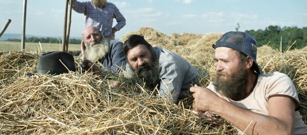 На заготоке сена - Sputnik Молдова