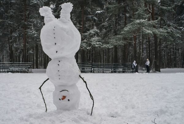 Слепленный снеговик в Сосновском парке Санкт-Петербурга - Sputnik Молдова