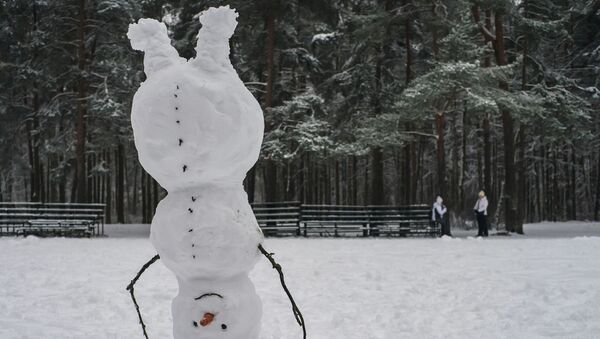 Слепленный снеговик в Сосновском парке Санкт-Петербурга - Sputnik Молдова