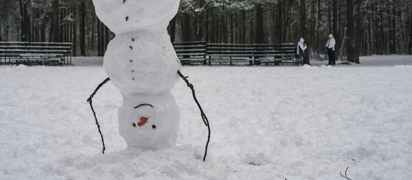 Слепленный снеговик в Сосновском парке Санкт-Петербурга Слепленный снеговик в Сосновском парке Санкт-Петербурга - Sputnik Молдова