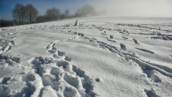 Снеговик на заснеженном поле на севере Испании - Sputnik Молдова
