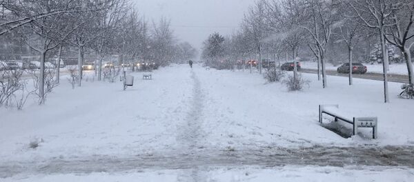 Снегопад в Кишиневе - Sputnik Молдова