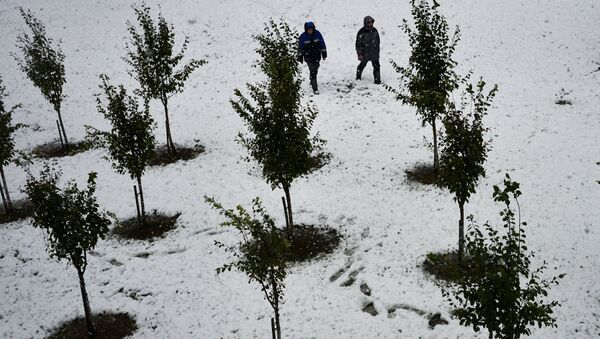 Снег на курорте Роза-Хутор в Красной Поляне - Sputnik Moldova