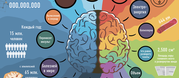 На что способен человеческий мозг - Sputnik Молдова
