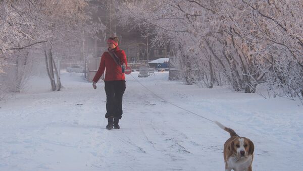 Une promenade en hiver - Sputnik Moldova