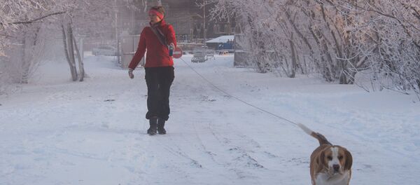Une promenade en hiver - Sputnik Moldova