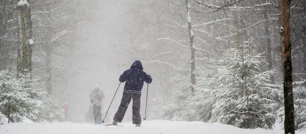 Лес - Sputnik Молдова